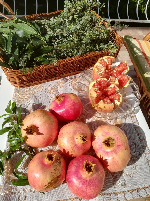 Apartment Ruzmarin - Makarska